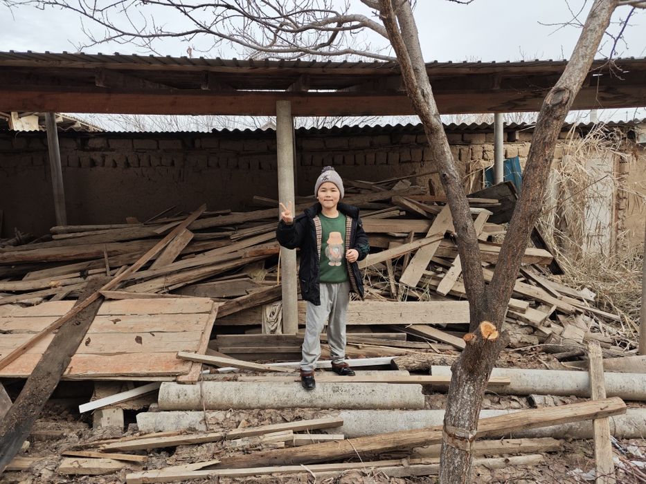 Ағаштар 20к барлығына