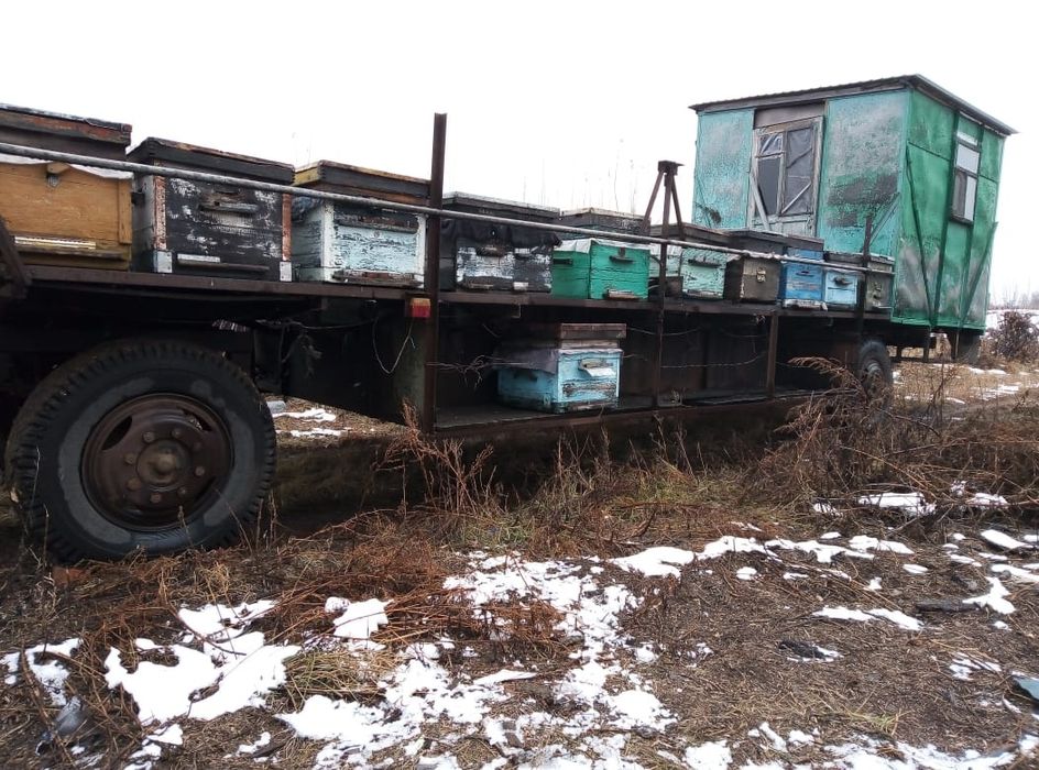 Продам пчело-прицеп