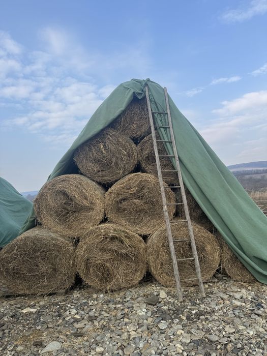 Baloti luverna coasa 3 plouat