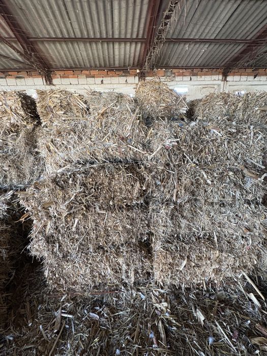 Продавам Бали  от царивичак.