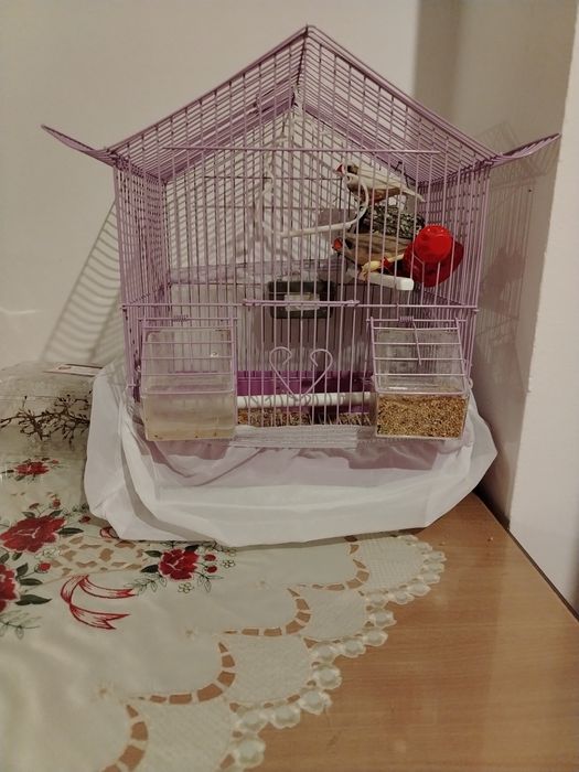 Colivii pentru păsări