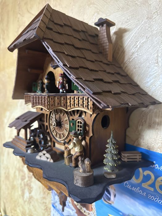 Домашние   Цасы