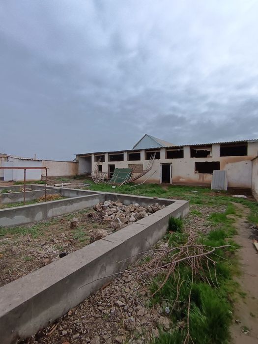 Срочна сотилади салавотда йер хисобида берилади