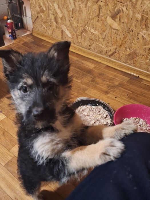 Очаровательные малыши звоночки