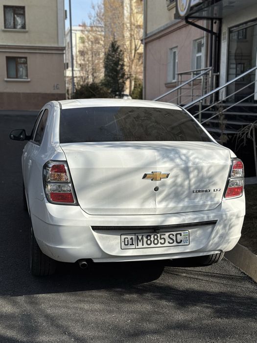 Cobalt Midnight MCM 2026