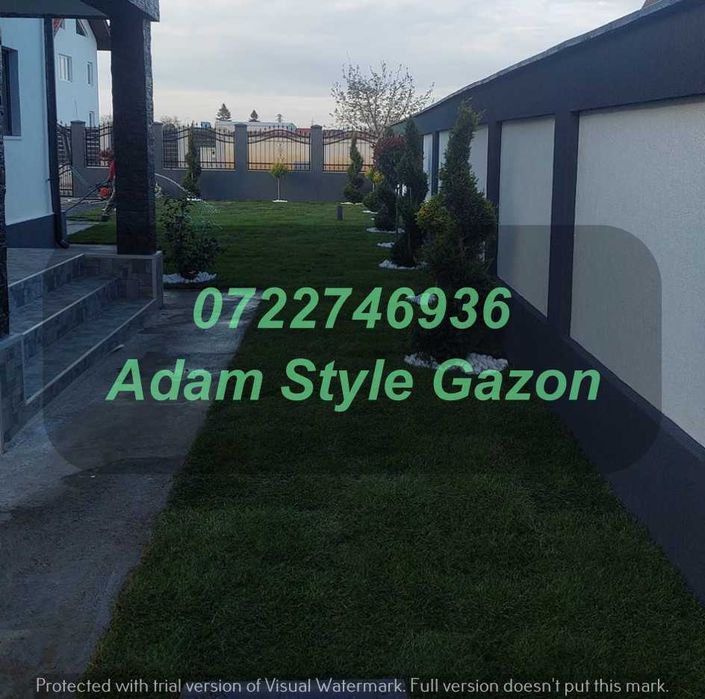 Gazon Profesional pentru Grădini Elegante