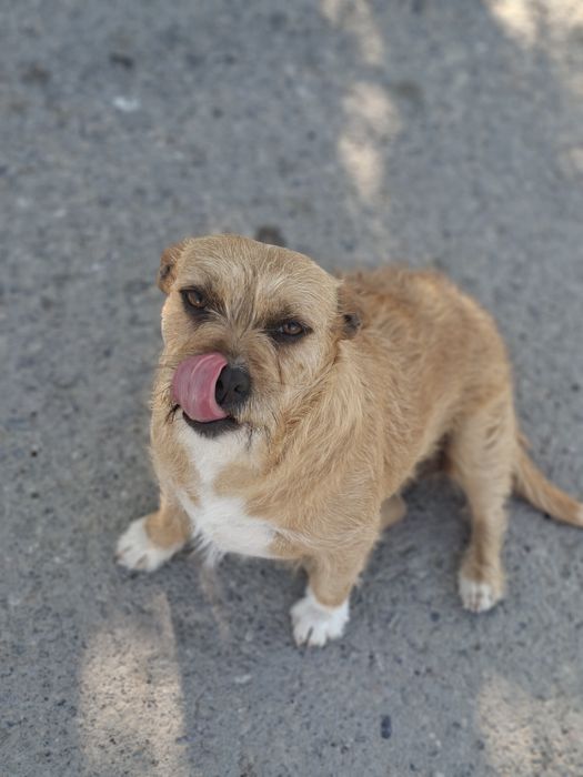 Кнопочка для семьи