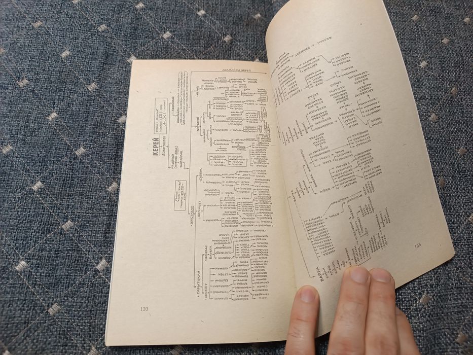 Казахское шежире