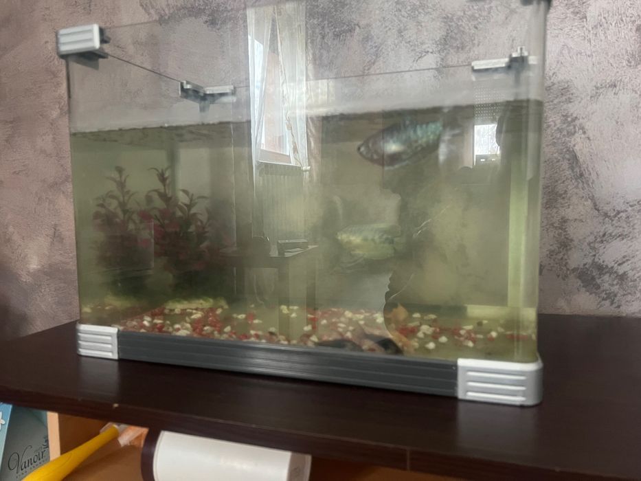 Acvariu 30 litri