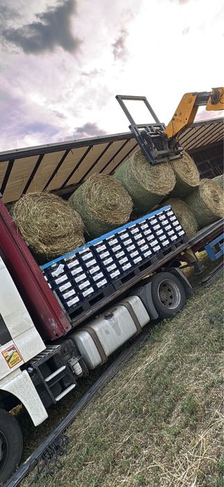 Baloti lucerna coasa 3-a 120/120