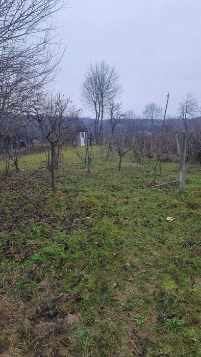 teren + casa batraneasca satul Hilita com Costuleni intravilan