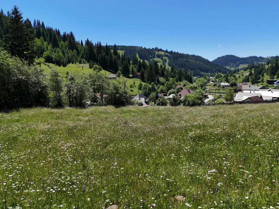 Teren de vanzare 2000 mp intravilan in Bucovina comuna Breaza