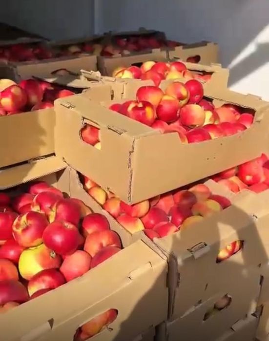 Натуральный яблочный уксус