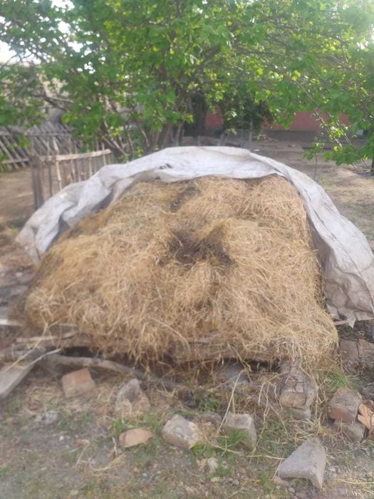 Жоңышқа сатылады