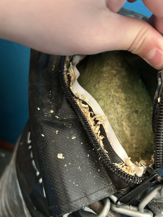 Груша Эверласт п