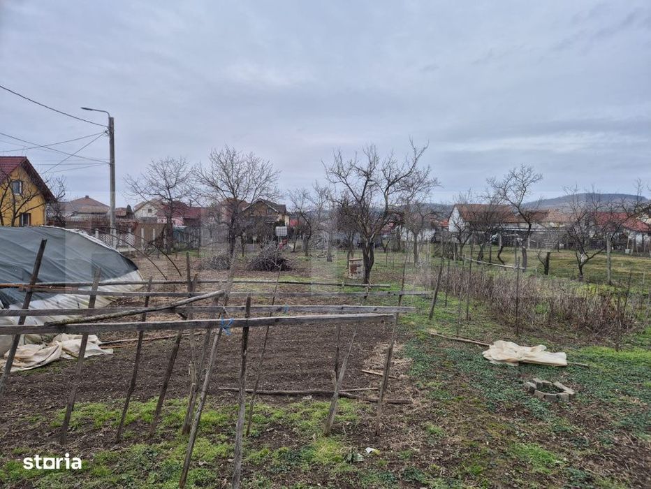 Teren 1651 mp cu casa si anexe – oportunitate investitie, zona Barab