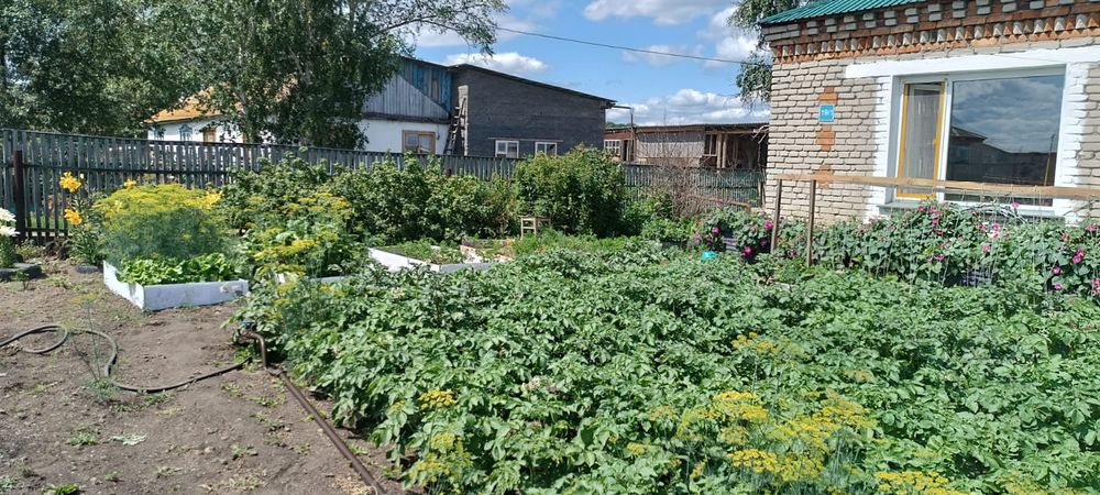 Продам дом в деревне