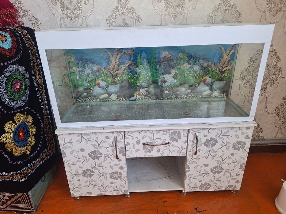 Акварум сатылады