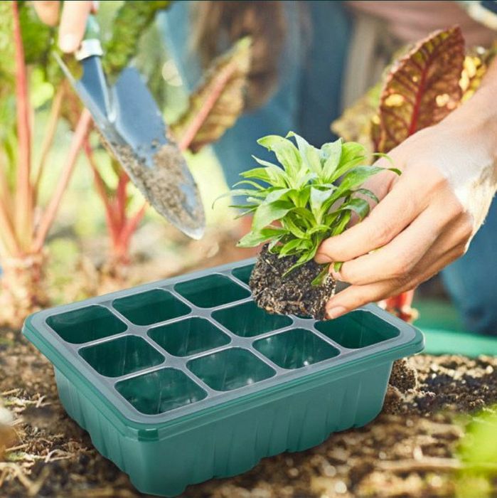 Tăvi pentru rasaduri,8bc pe set