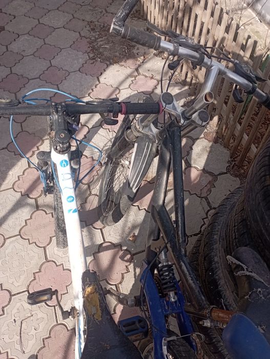 Велосипеды на ходу