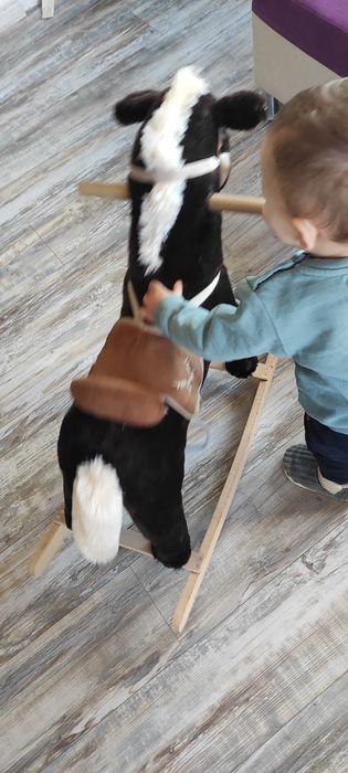 Музикално детско конче