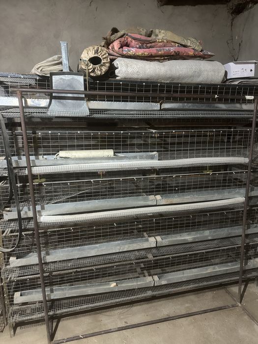 Сетка для перепелки