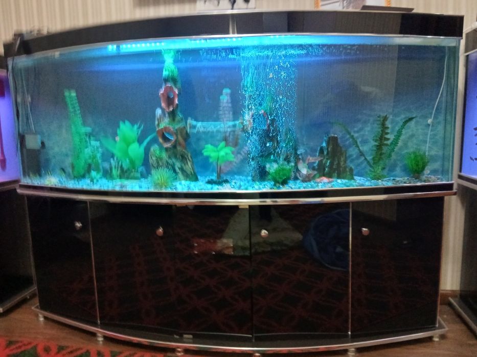 Аквариум сотилади.