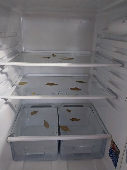 Продам холодильник фирмы Indesit