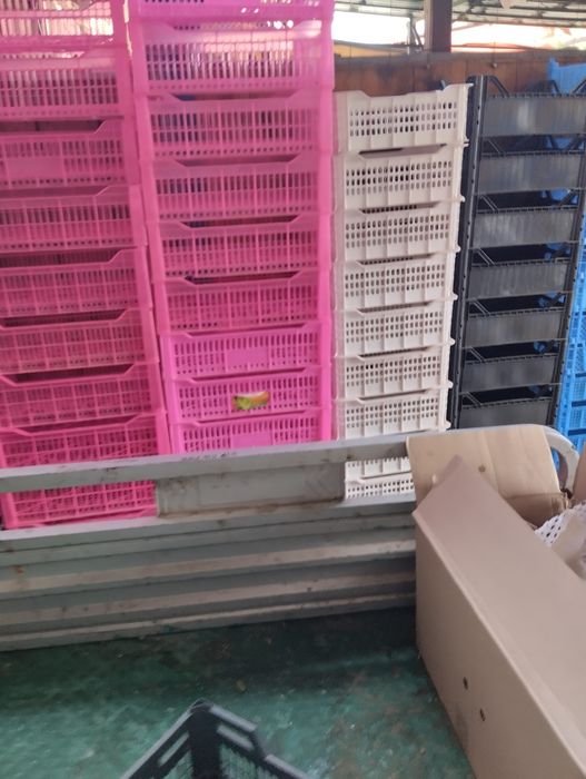 Продам ящики пластиковые