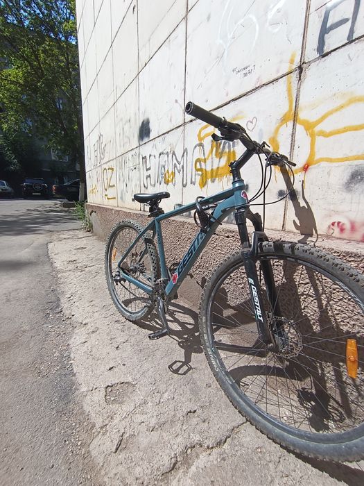 GESTALT 29-29 дюйм