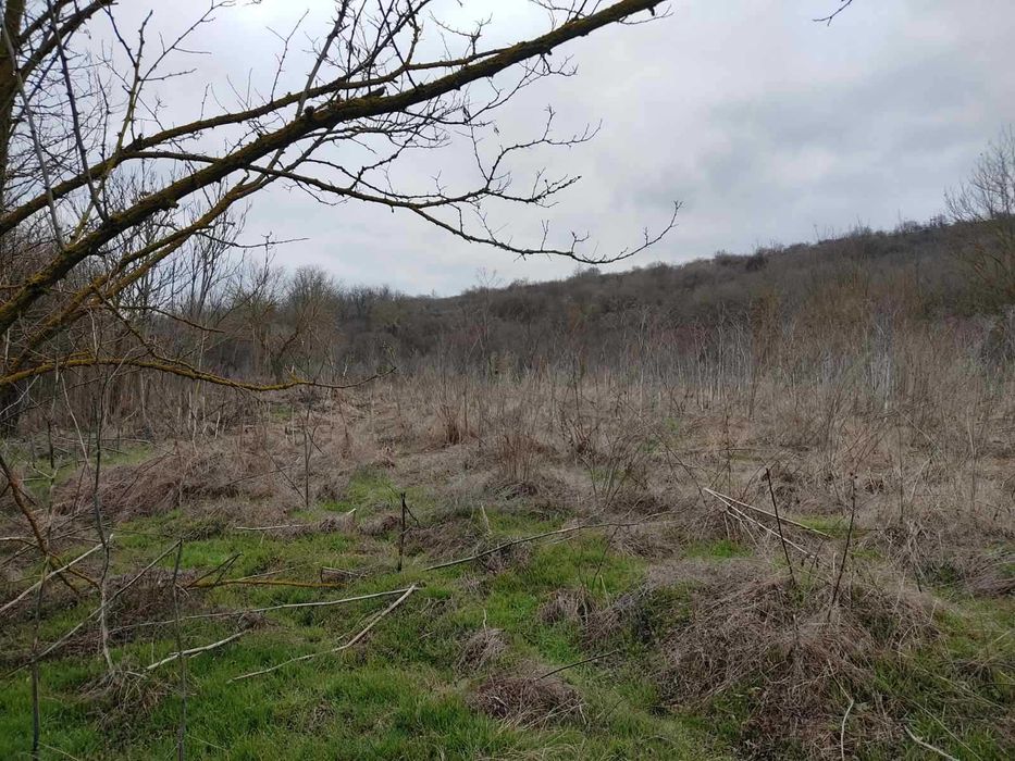 Продава се Къща в с. Краище, Област Добрич - 60 кв.м за 111 €/кв.м - Снимка #8