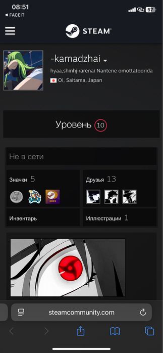 Faceit Steam 10lvl Стим аккаунт