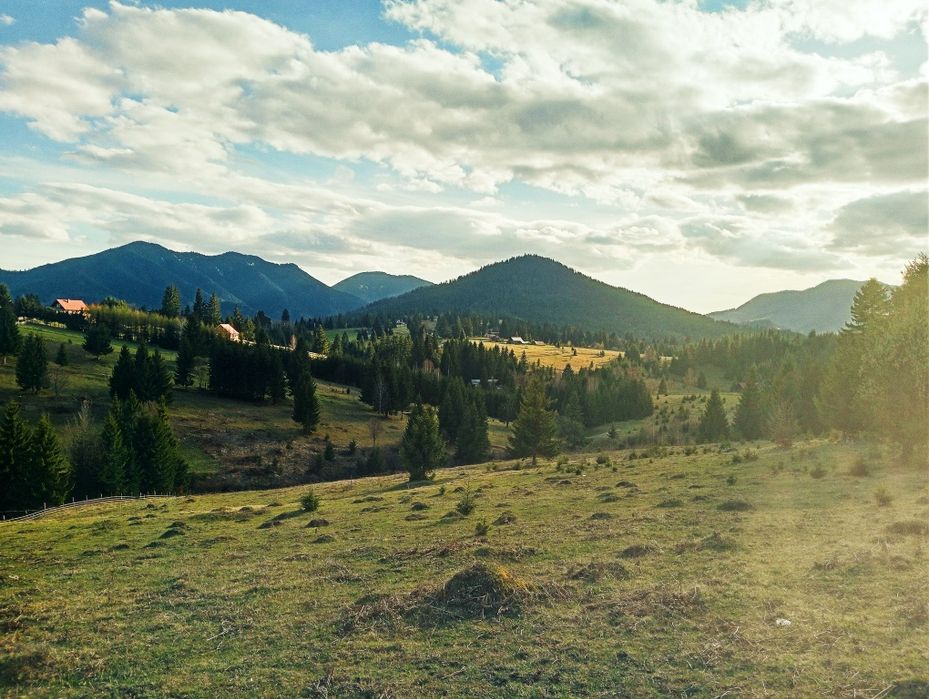 Teren 10 arii – Obcioara / Piatra Fântânele, aproape de Tășuleasa Soci