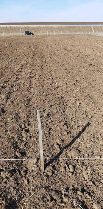 Създаване, поддържане и консултране на овощни градни област Шумен