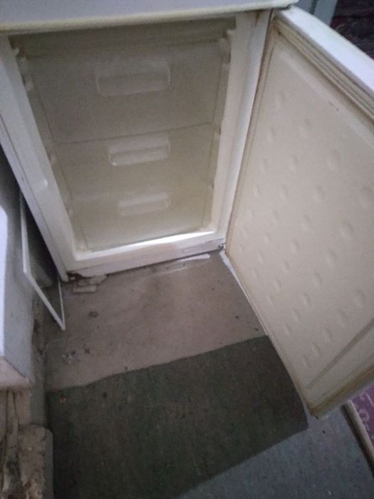 Музлаткич рòйсòн сотилади