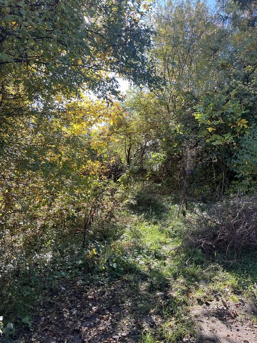 Продава се Парцел в София, Гео Милев - 793 кв.м за 379 €/кв.м - Снимка #2