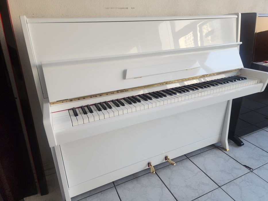 Петроф белый. Petrof oq rang