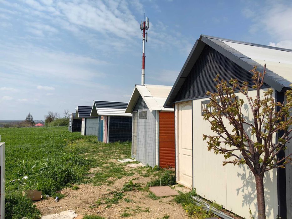 6 casute de inchiriat langa ALEXANDRIA