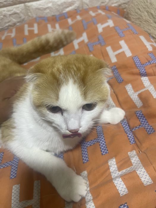 Срочно продается!!!