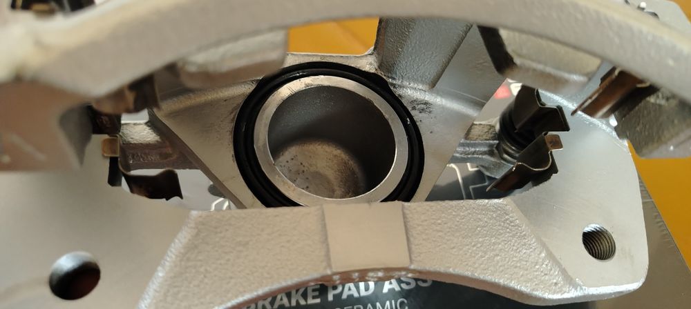 Lasetti va neksiya dons suport