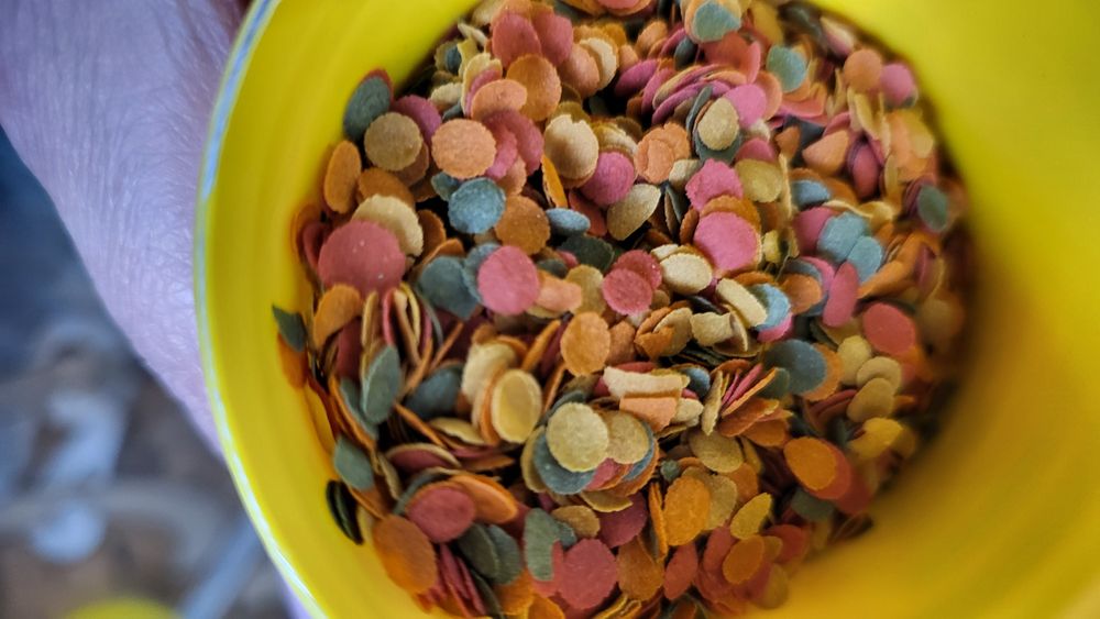 Корм для рыб Tetra цена за 100 гр