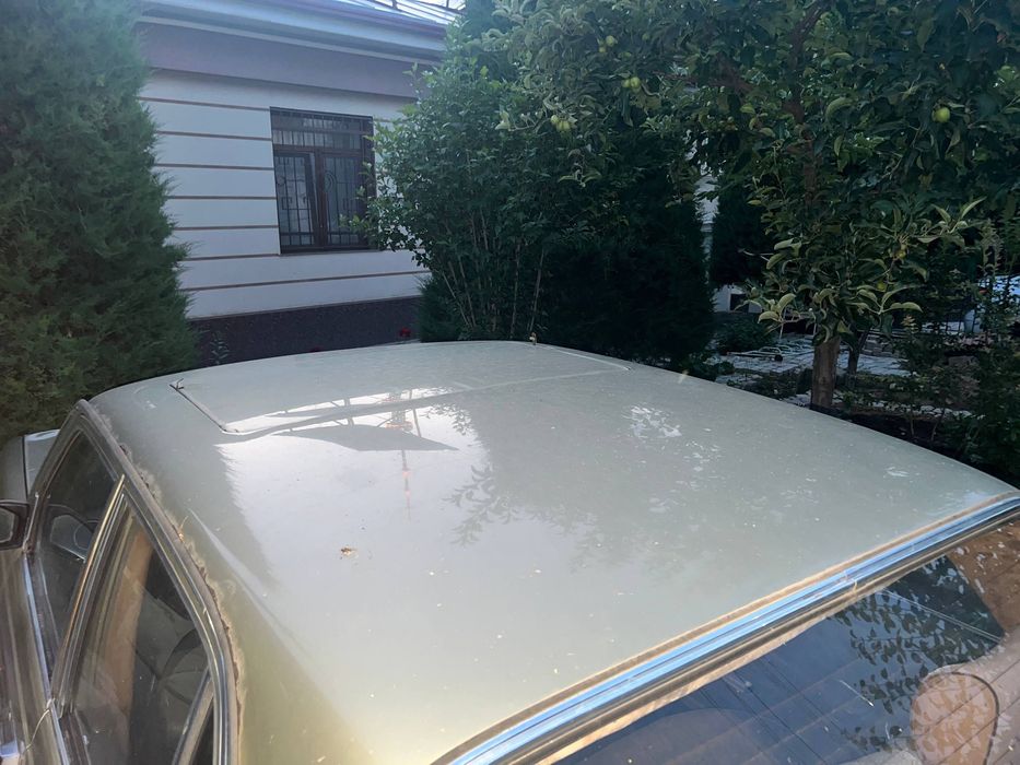 Mercedes-Benz W123