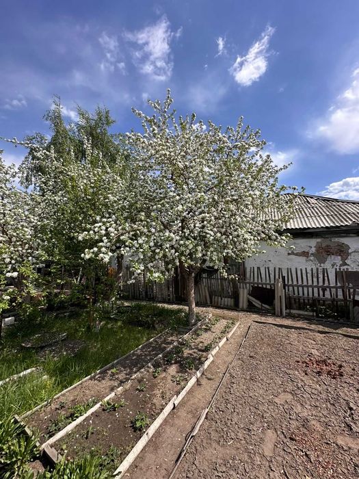 В продаже 3х ком дом Центральная 57