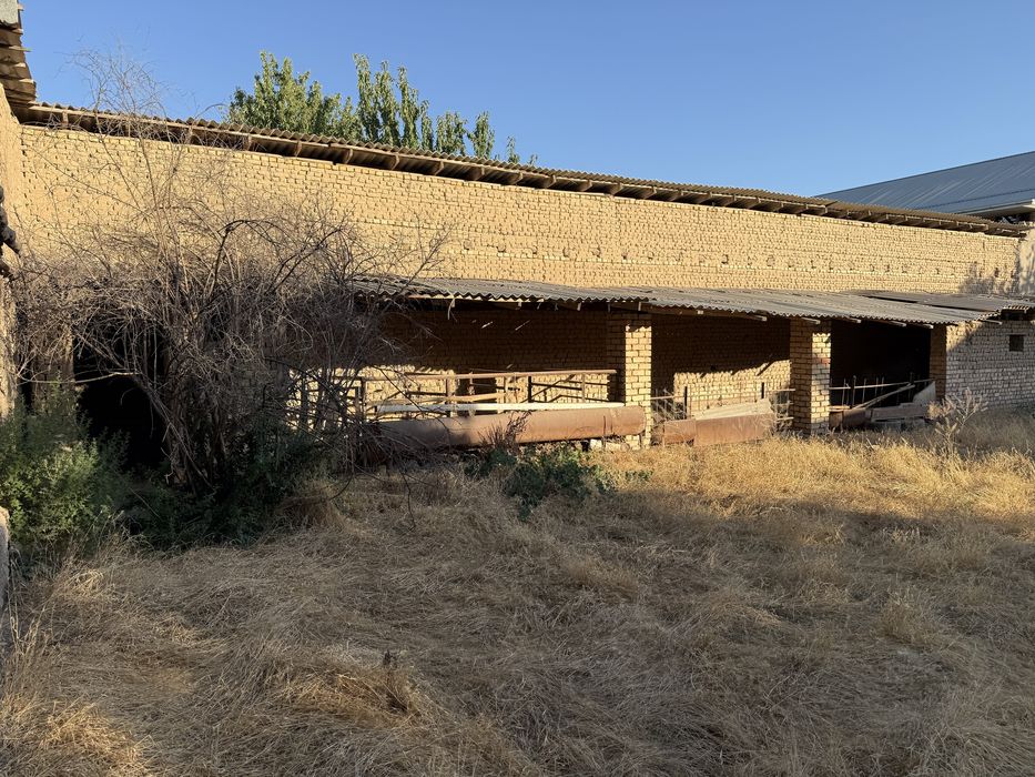 Участка сотилади 8 сотих Янгийул шахар Новда.