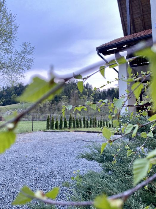 Cabana cu piscina și ciubar / jacuzzi