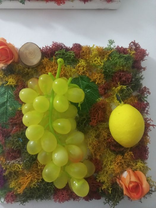 Vând și amenajări