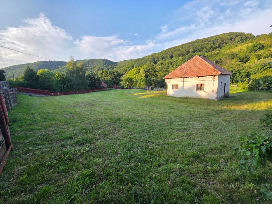 Teren intravilan 2.800 m² cu clădire, curent trifazic și pârâu – Ghipeș (25 min de Odorhei)