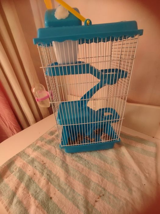 Продам хомяка с клеткой