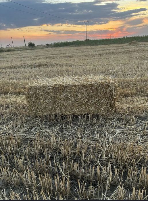 Vand baloti paie 2025