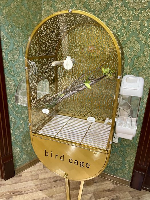 Qafas gold клетка